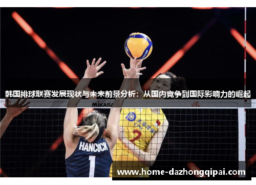 韩国排球联赛发展现状与未来前景分析：从国内竞争到国际影响力的崛起